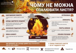 Чому не варти палити опале листя?