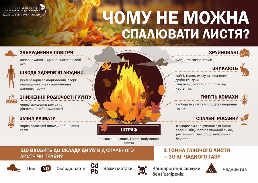 Чому не варти палити опале листя?