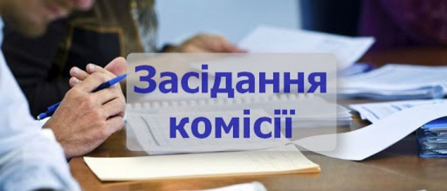 Засідання комісії із захисту прав дитини