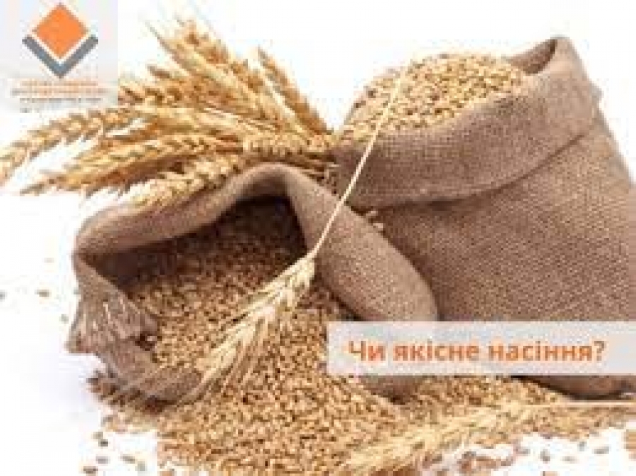 ЯКІСНЕ НАСІННЯ – ПЕРШИЙ КРОК ДО ГАРНОГО ВРОЖАЮ