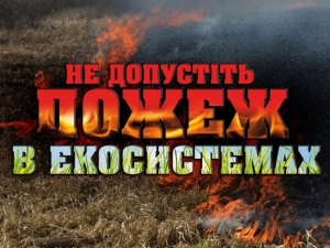 Правила пожежної безпеки під час відвідування лісових масивів