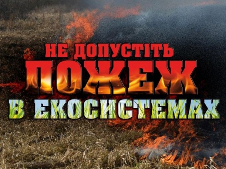 Правила пожежної безпеки під час відвідування лісових масивів