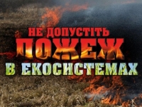 Правила пожежної безпеки під час відвідування лісових масивів