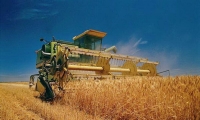 На Голованівщині стартувала жнивна кампанія