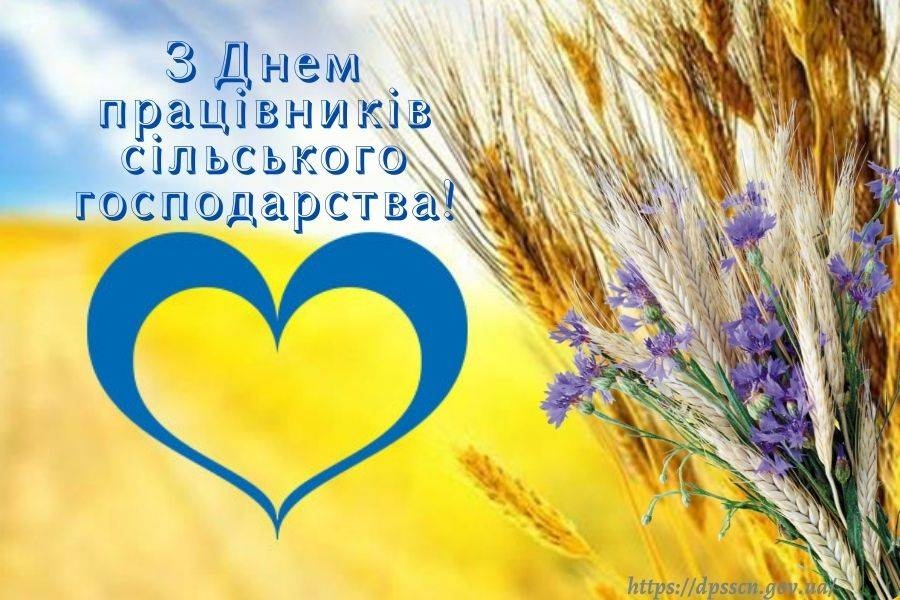 Шановні працівники сільського господарства нашого славного аграрного Голованівського краю!
