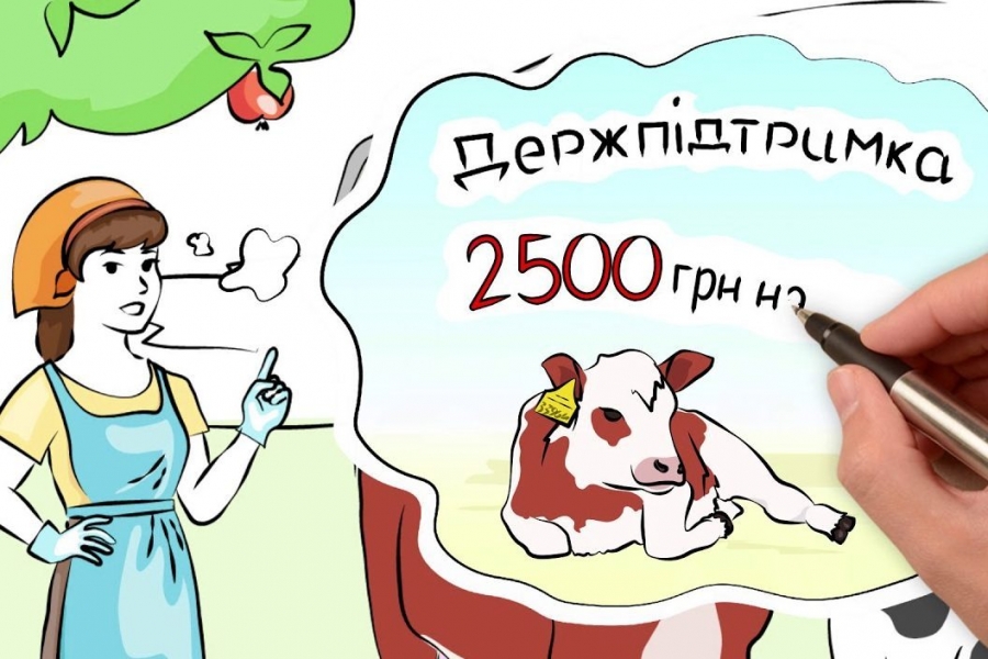 Урядова програма підтримки утримання молодняка ВРХ