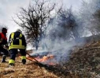 Самовільне випалювання рослинності або її залишків згідно статті 77/1 КУпАП передбачено штрафні санкції