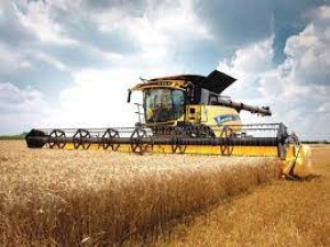 ЗБИРАННЯ НАСІННИЦЬКИХ ПОСІВІВ РАННІХ ЗЕРНОВИХ: ЯК МІНІМІЗУВАТИ ВТРАТИ