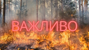 Високий рівень пожежної небезпеки: що потрібно знати та як діяти у разі лісової пожежі
