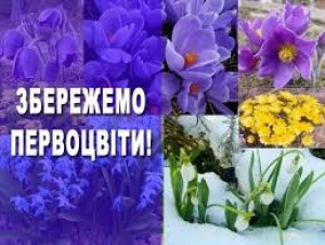 Стартувала щорічна операція «Первоцвіт – 2019»