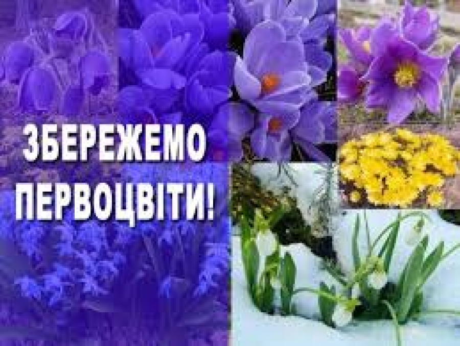 Стартувала щорічна операція «Первоцвіт – 2019»