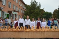 Голованівську – 254!