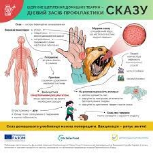 ПРОФІЛАКТИКА СКАЗУ