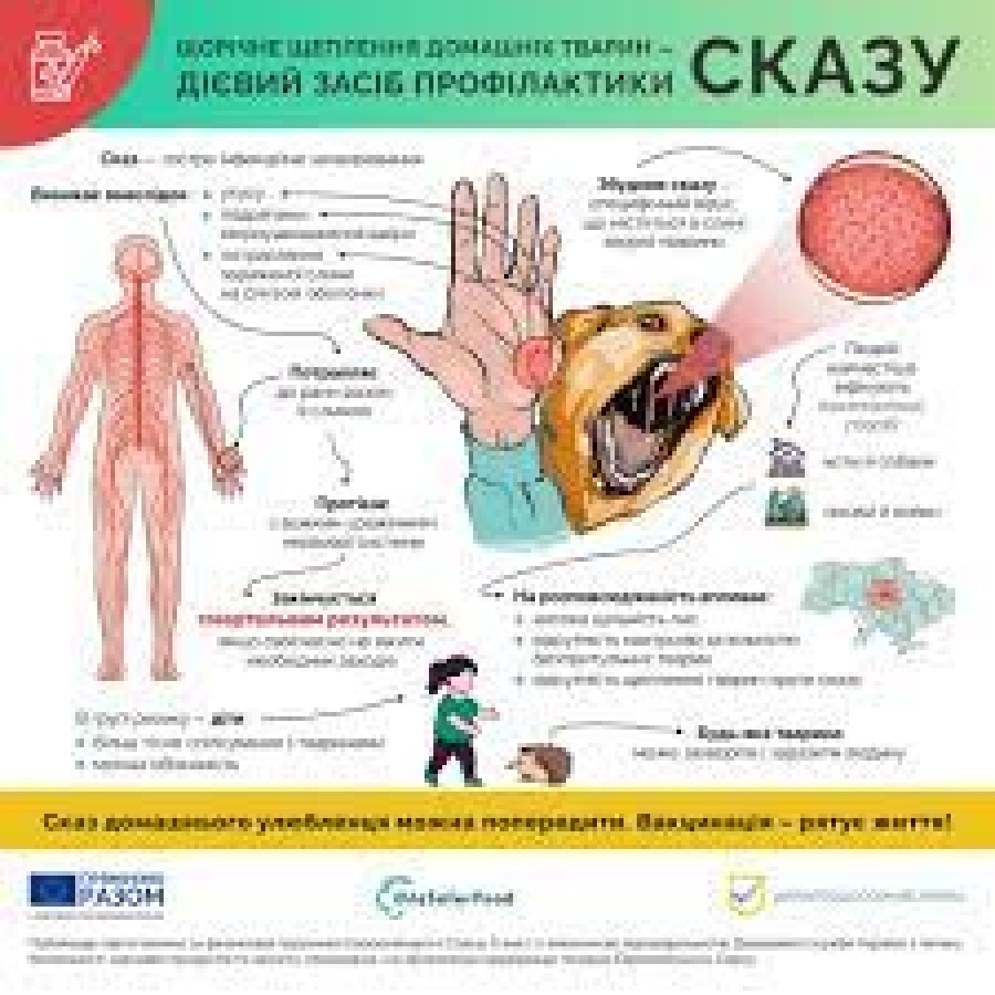 ПРОФІЛАКТИКА СКАЗУ