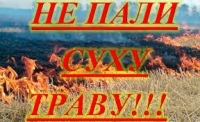 Природа у вогні. Чому не можна спалювати траву.