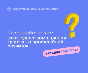 Чи передбачається законодавством надання грантів на професійний  розвиток?